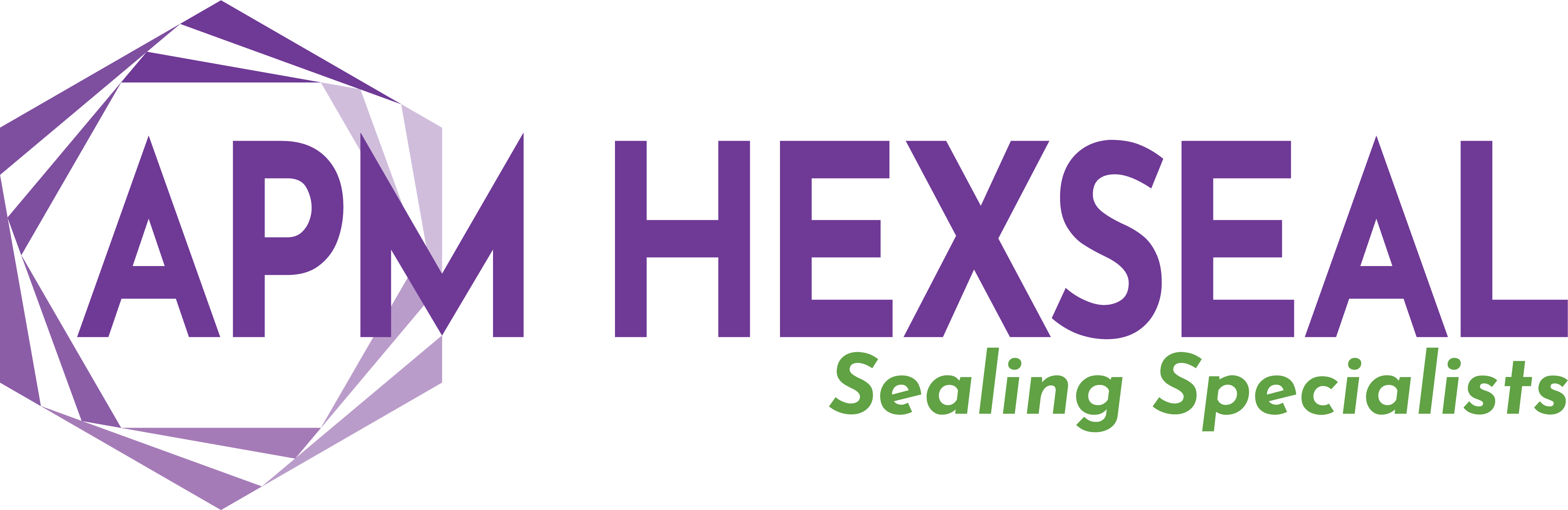/images/brand/apm-hexseal.png