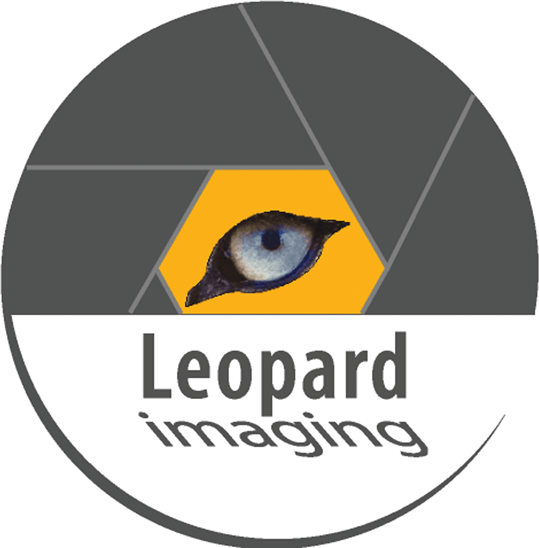 /images/brand/leopard-imaging.png